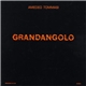 Amedeo Tommasi - Grandangolo